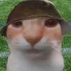 army_cat0