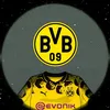 baumeister15
