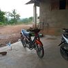 pangil_aja_solopok