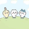 inmsocute_