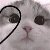 charliebugsad