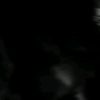 sakkarepmu1222