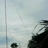 zaya_592