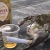 rakccigaretoyupivom228
