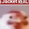 abdeljalilkalafat3