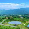 kohat_king_804