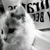 ghjic.m