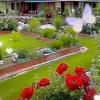abdrrahim.alouki