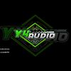 y4_audio