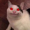 𝙍𝙮𝙖𝙣