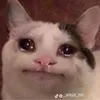 mikeynguroost0