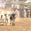 تــراگـڑی 1🔥