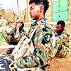 alshukri_solge