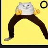 gatoooo_.104