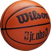 basketballpro1