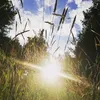 anja_rge_