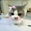 joyfulgrill_1