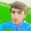 ghulamfareed6278