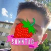redon_zh