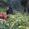 shahi.nur18