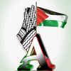 mr.arafat.yt05
