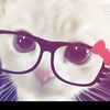 putplen12