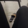 baby.nerest