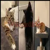 wilburdings