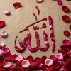 rimi.akter796