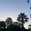 kt_xx15