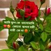 user77667632842456