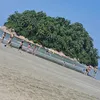 lara_sophia_15670