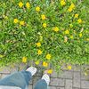 creamysugar_01