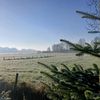 nadinevlieshout