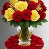 princess13239