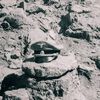 14kein_voelkerstreit88