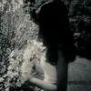 n_7_yx