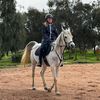 amelia_equestrian