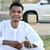 osama.kairo