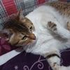 maria.ralac61