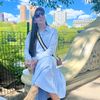 Vlogsdteresa
