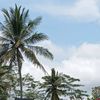 aqakehaka