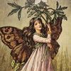 starryeyeddreamer13