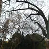 exqciarcc