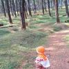 lecha.keisyanudin