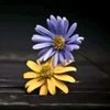 user771978308781popo
