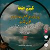 malik.shahzad1726