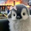 binaww.2nd