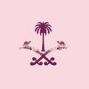 كود خصم نايس ون  RD752