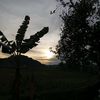 sal_story28